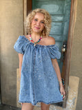 Bluebell Denim Dress