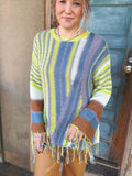 ✨ Meadow Mosaic Fringe Sweater