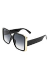 Gold Trim Sunnies